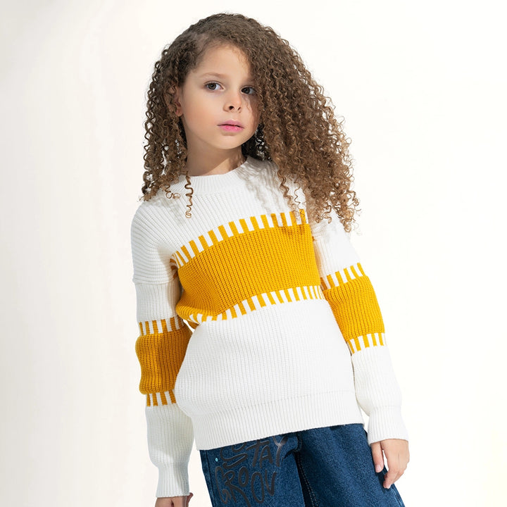 Color Blocked Pullover
